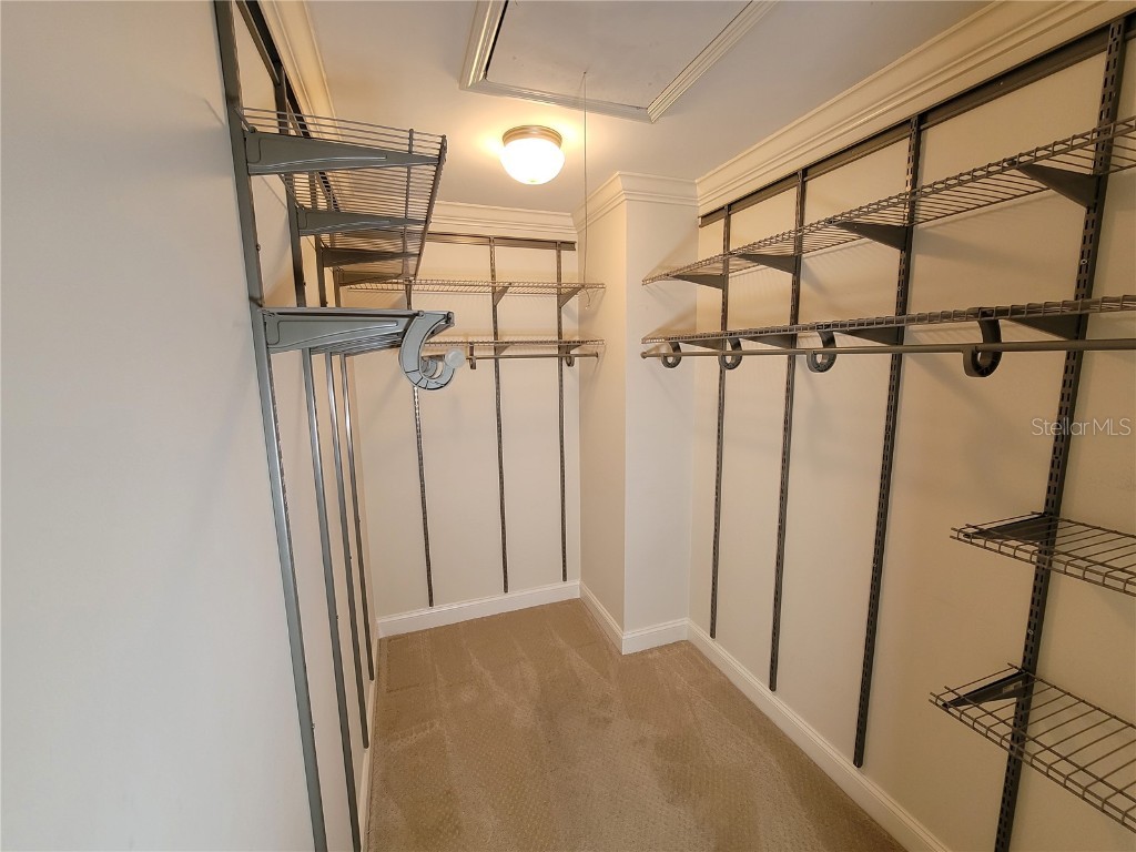 6550 Teak Court Zephyrhills FL 33542 TB8452548 image17