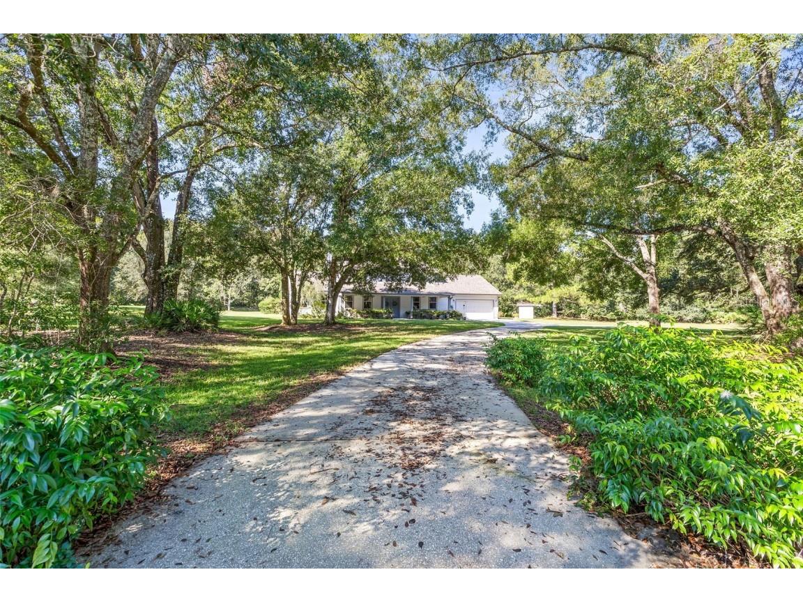 6551 Bogie Court Wesley Chapel FL 33544 TB8308308 image1