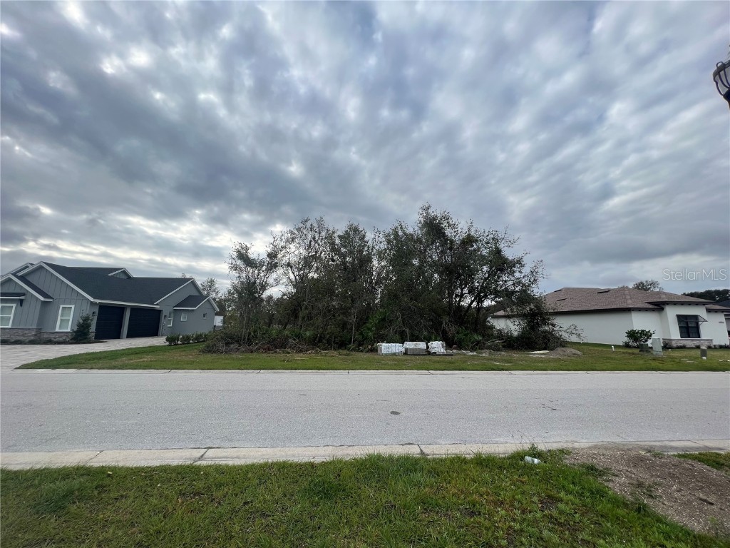 6552 Emerald Woods Lane Lakeland FL 33813 L4945295 image1