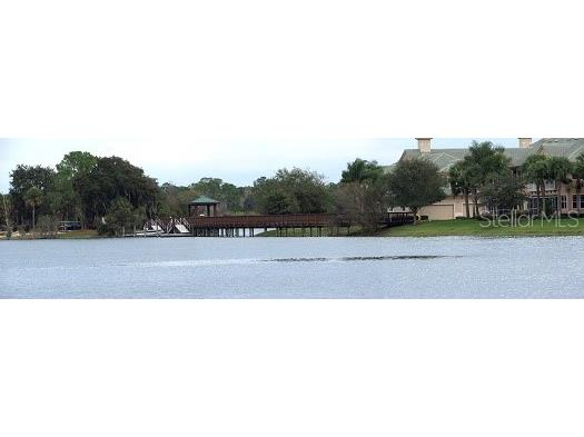6552 Moorings Point Circle #102 Lakewood Ranch FL 34202 A4697549 image50