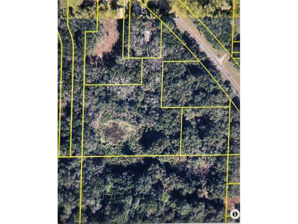 6552 N Orange Blossom Trail Mount Dora FL 32757 O6338161 image1