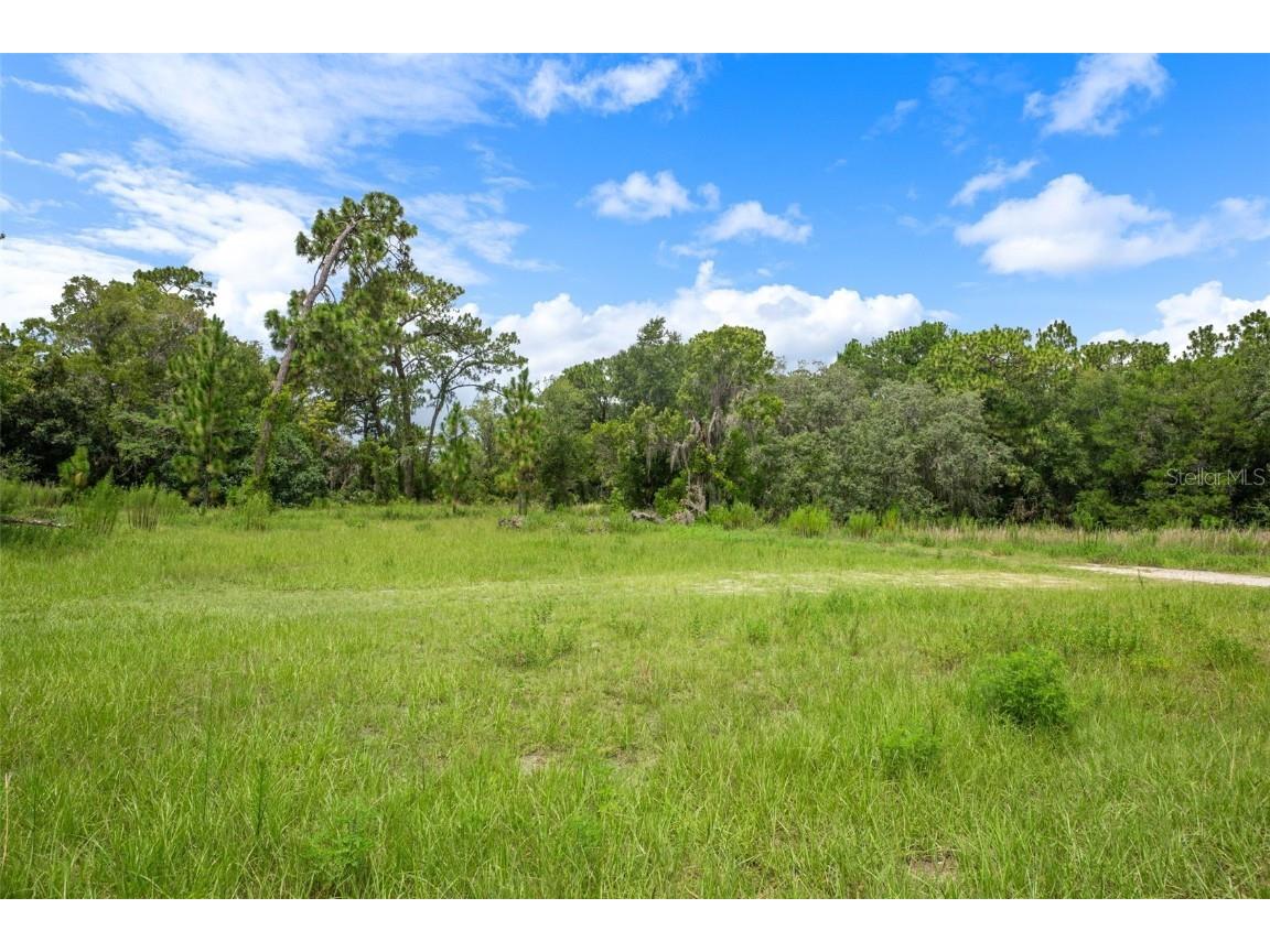 6552 W Gulf To Lake Highway Crystal River FL 34429 OM705983 image23