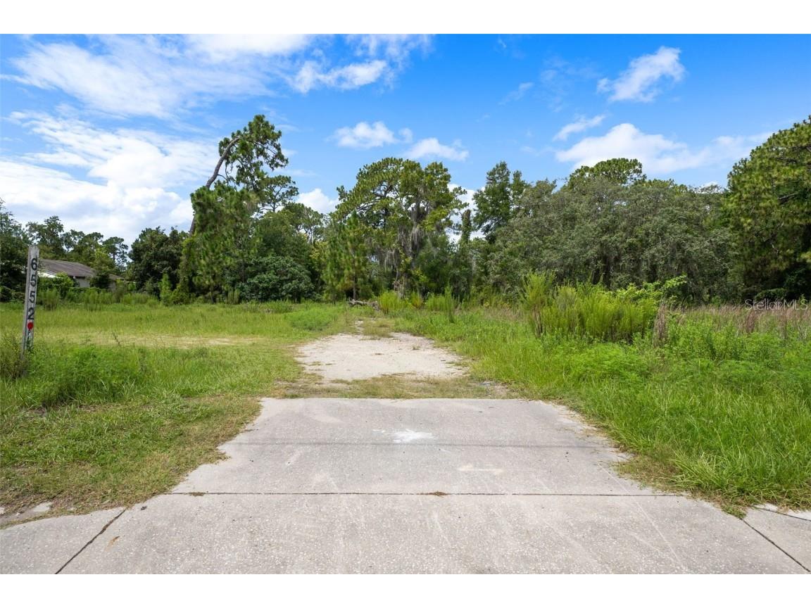 6552 W Gulf To Lake Highway Crystal River FL 34429 OM705983 image24