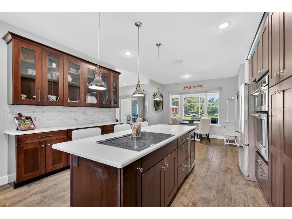 6553 Clayton Street Mount Dora FL 32757 G5105153 image22