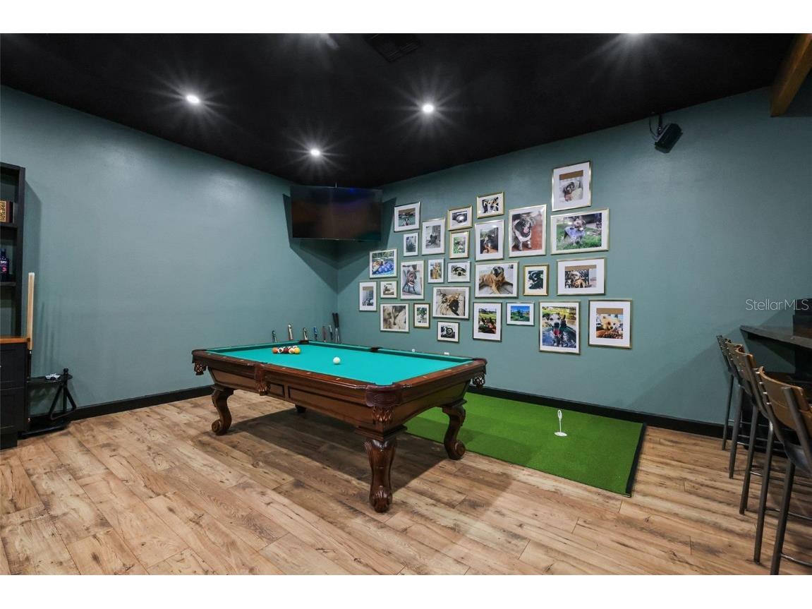 6553 Clayton Street Mount Dora FL 32757 G5105153 image51