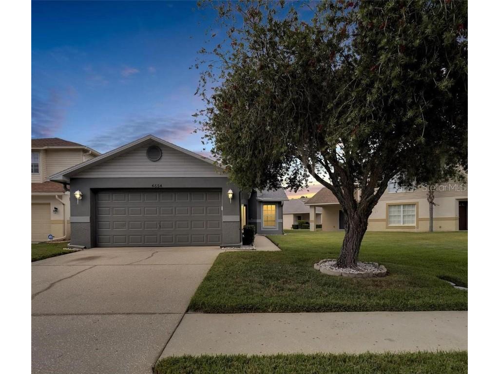 6554 Gentle Ben Circle Wesley Chapel FL 33544 OM710964 image1