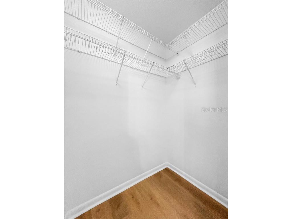 6554 Gentle Ben Circle Wesley Chapel FL 33544 OM710964 image36