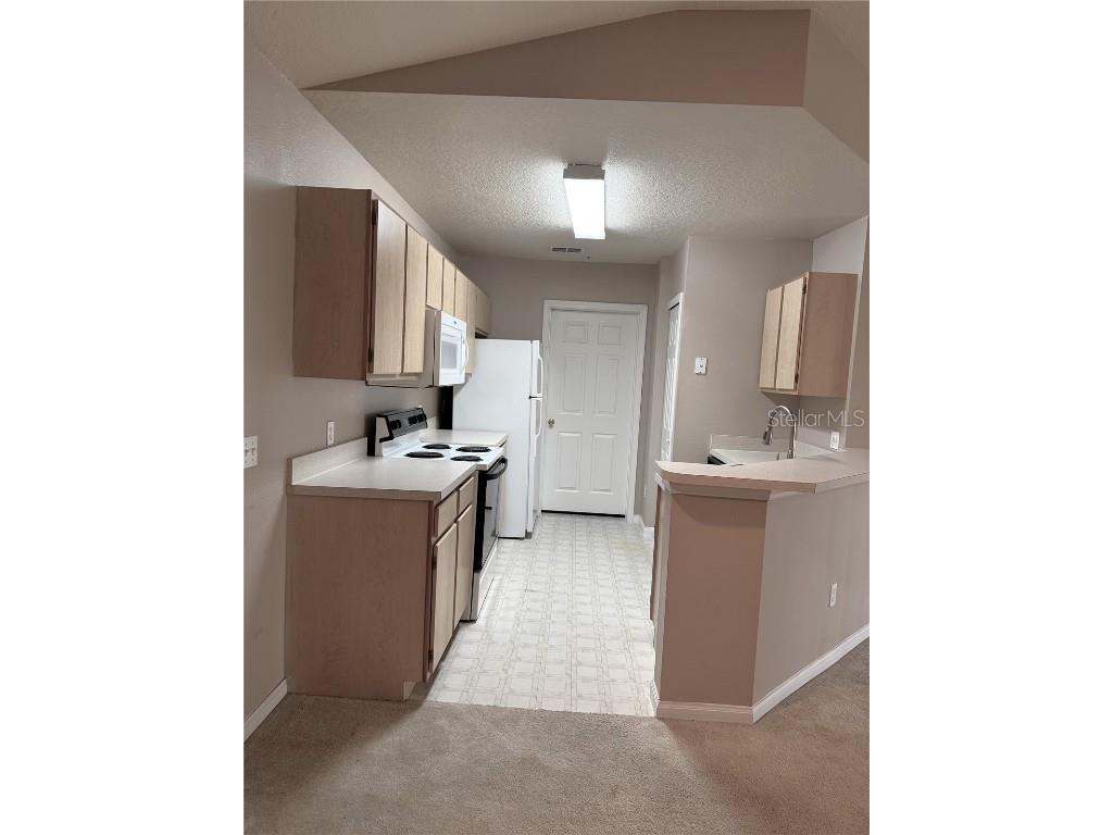 6554 Swissco Drive #533 Orlando FL 32822 O6324012 image5