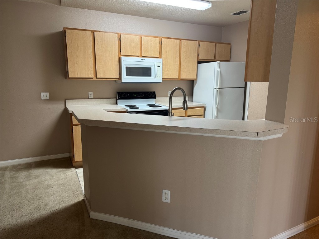 6554 Swissco Drive #533 Orlando FL 32822 O6324012 image6