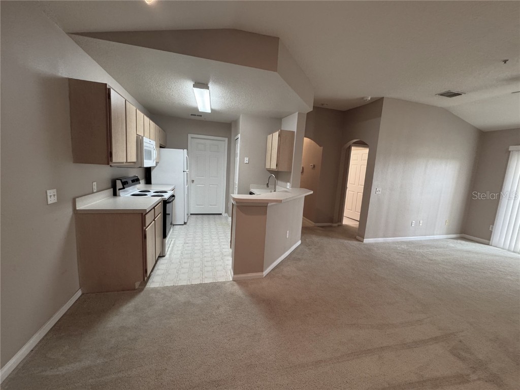 6554 Swissco Drive #533 Orlando FL 32822 O6324012 image9