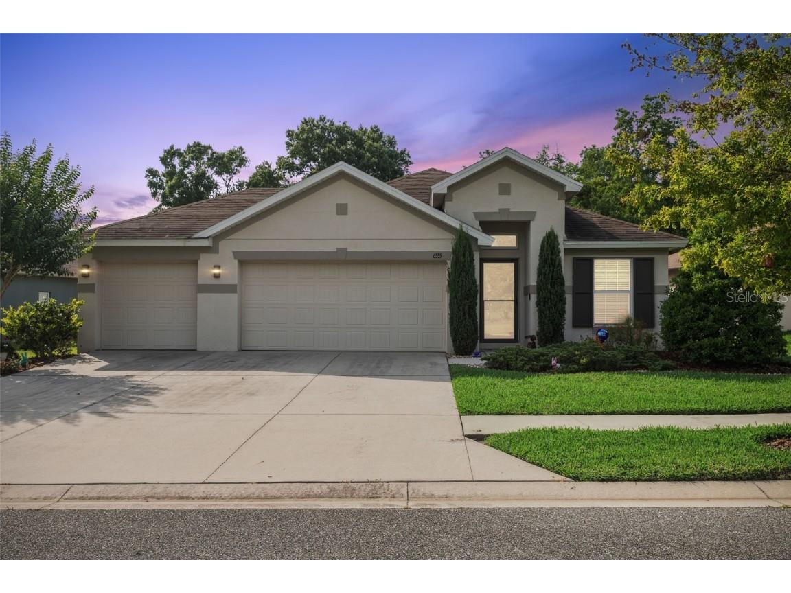 6555 Sparkling Way Wesley Chapel FL 33545 TB8388357 image1