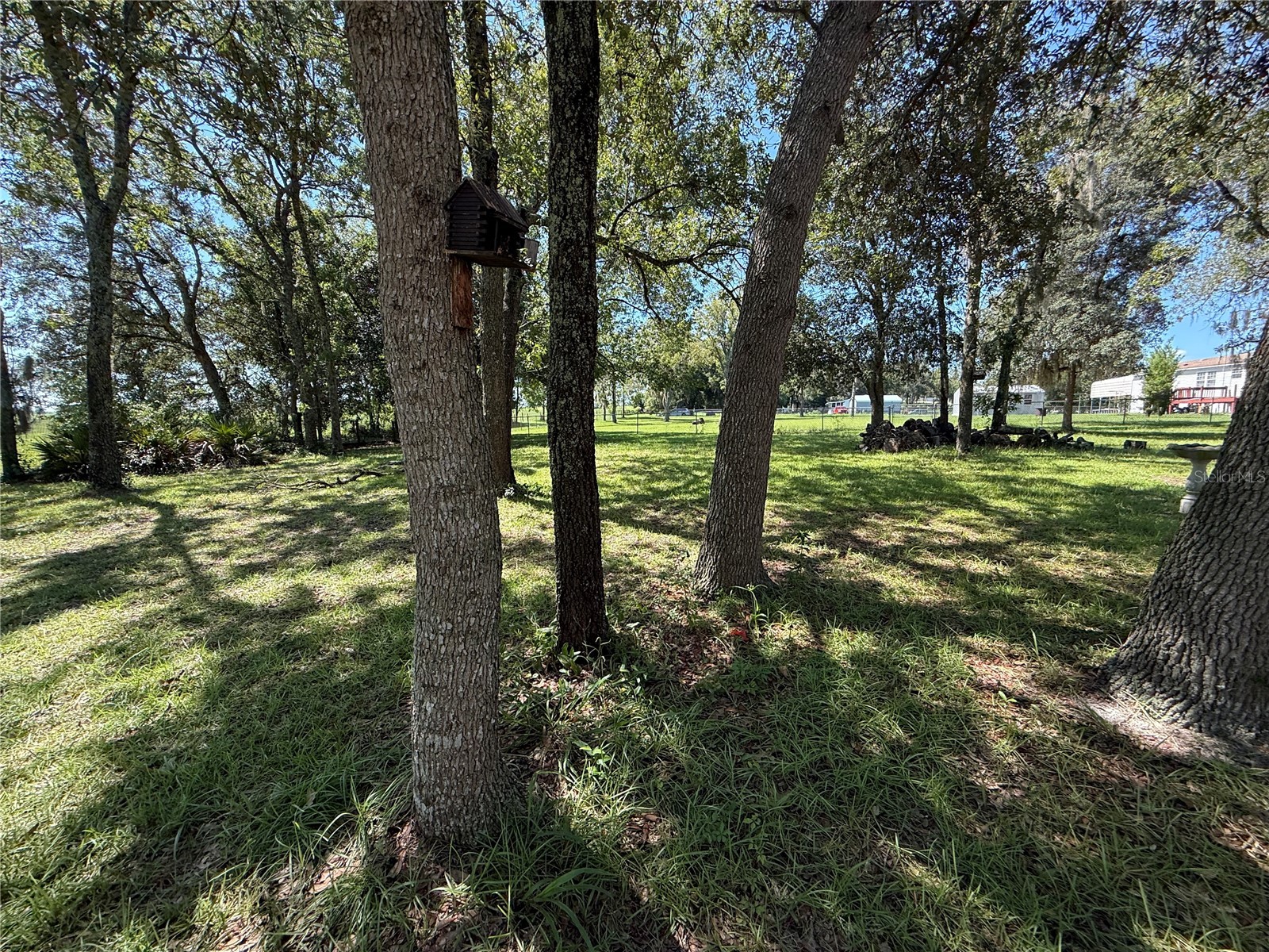 6555 SW 165th Court Ocala FL 34481 O6407906 image39