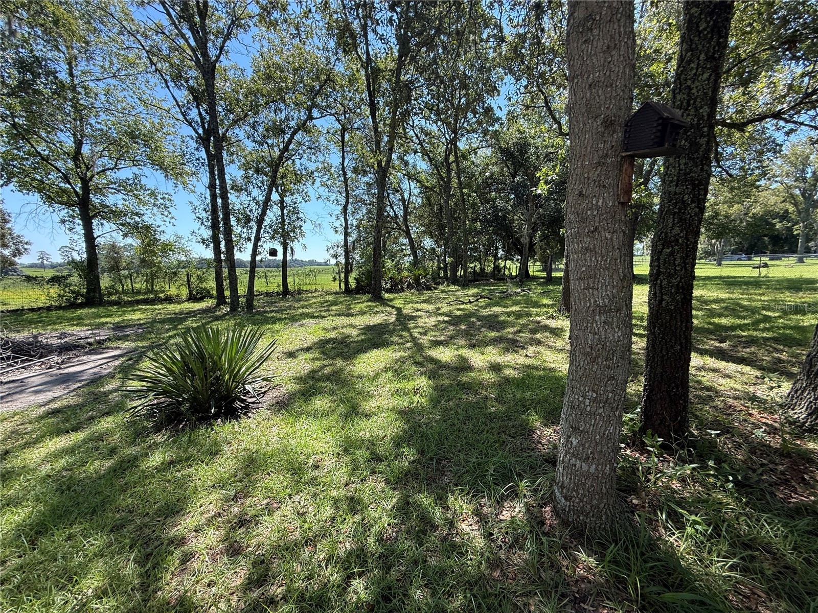 6555 SW 165th Court Ocala FL 34481 O6407906 image40