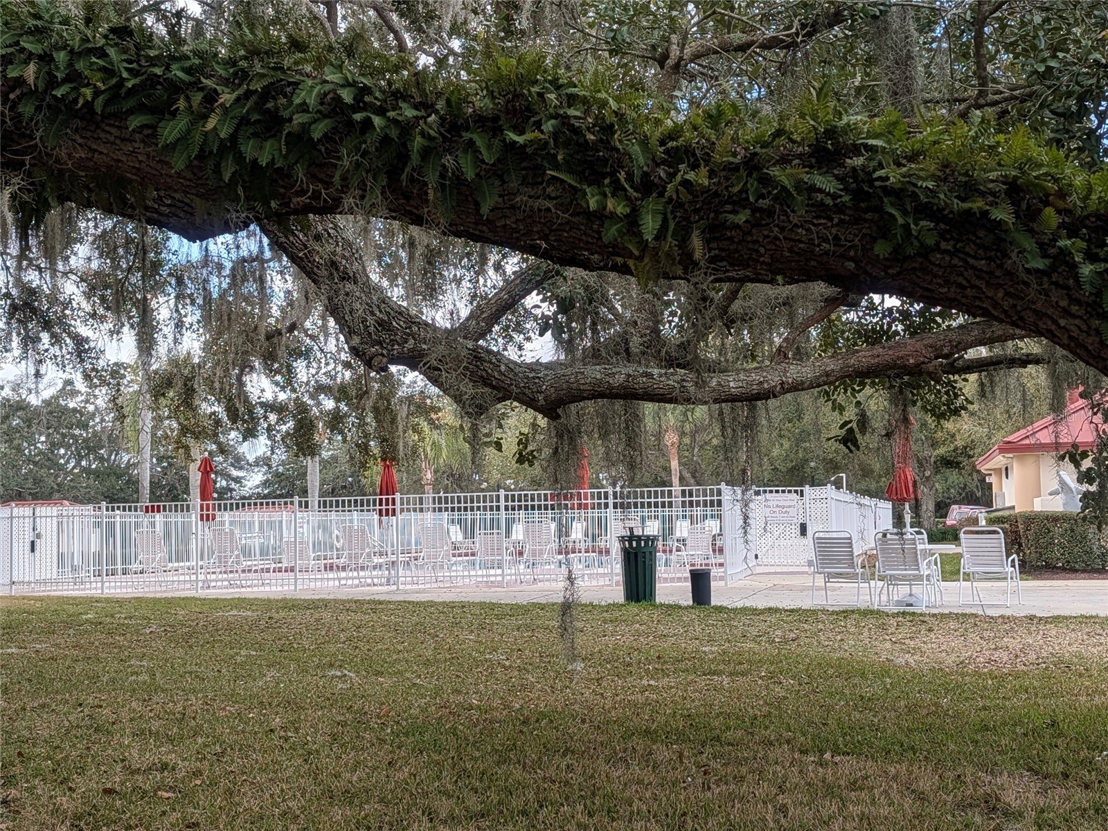 6555 Wilander Street Leesburg FL 34748 G5108431 image44