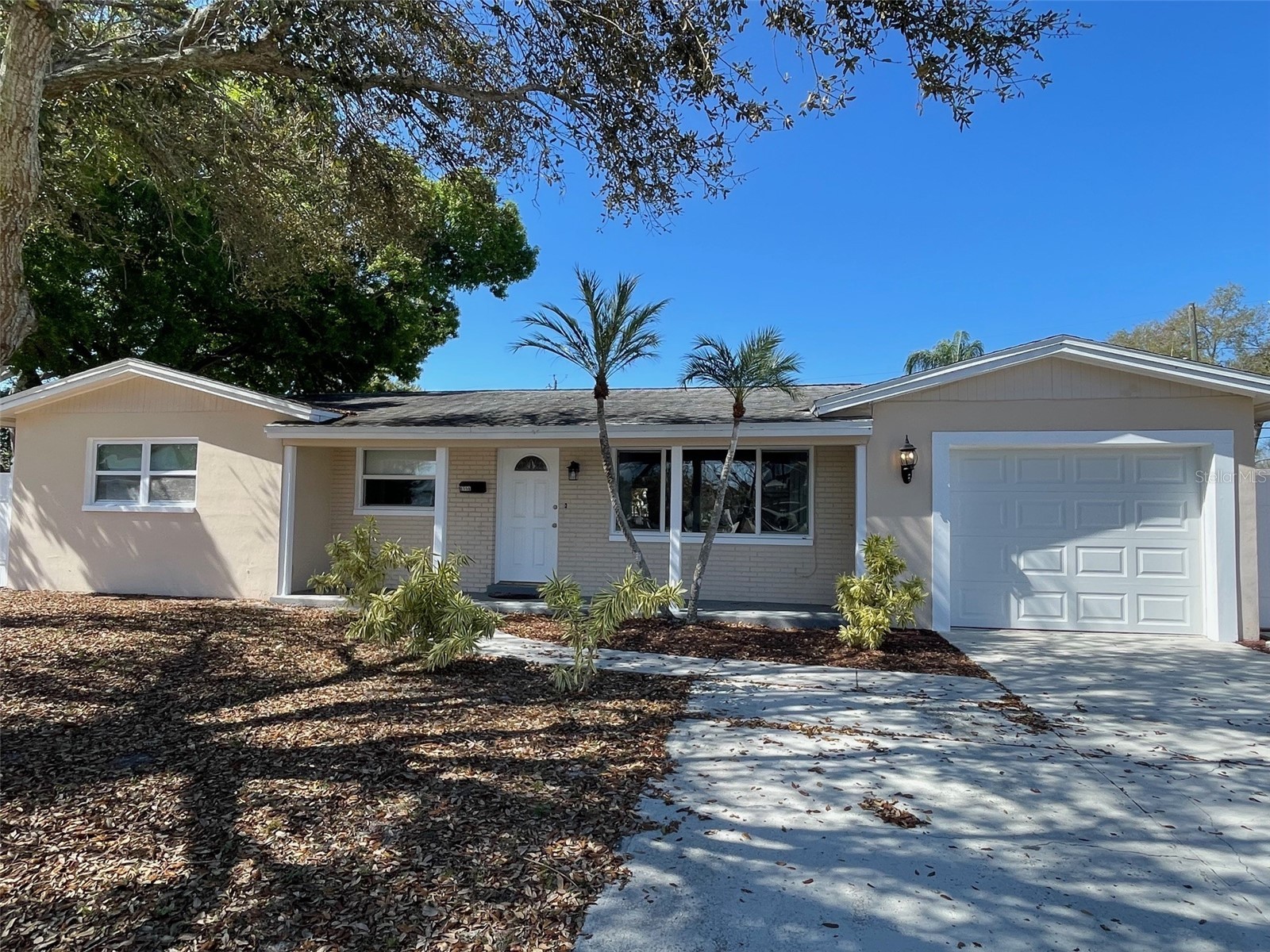 6556 27th Street N Saint Petersburg FL 33702 TB8481947 image41