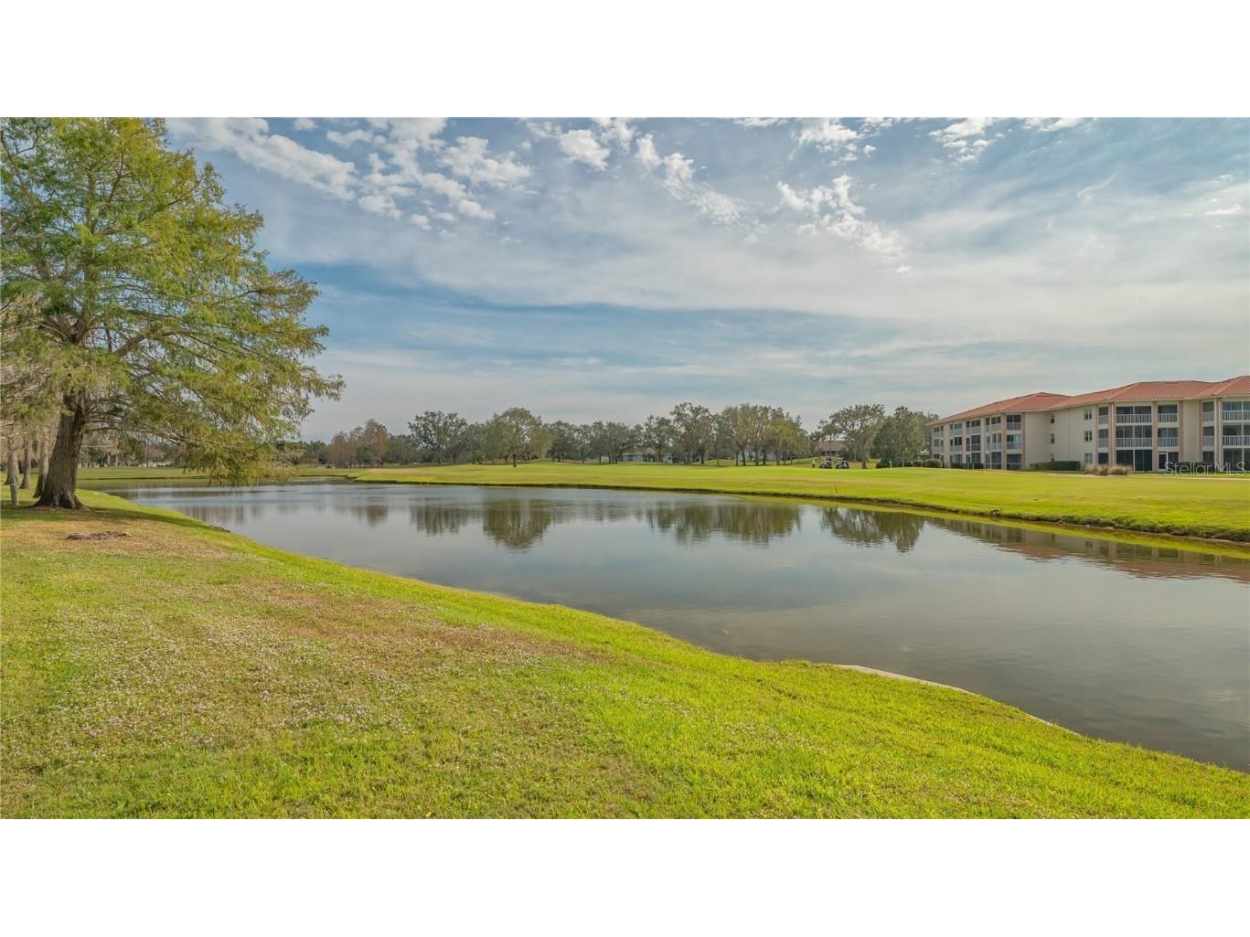 6556 Fairway Gardens Dr Bradenton FL 34203 A4637170 image24