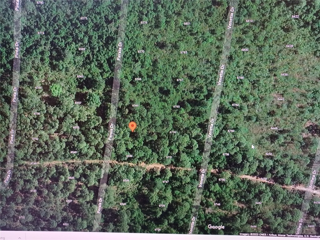 6556 Persis Drive Sebring FL 33872 O6130614 image1