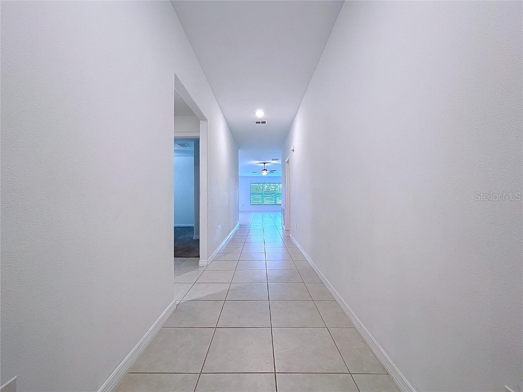 6557 Bar S Bar Trail Zephyrhills FL 33541 TB8454004 image11