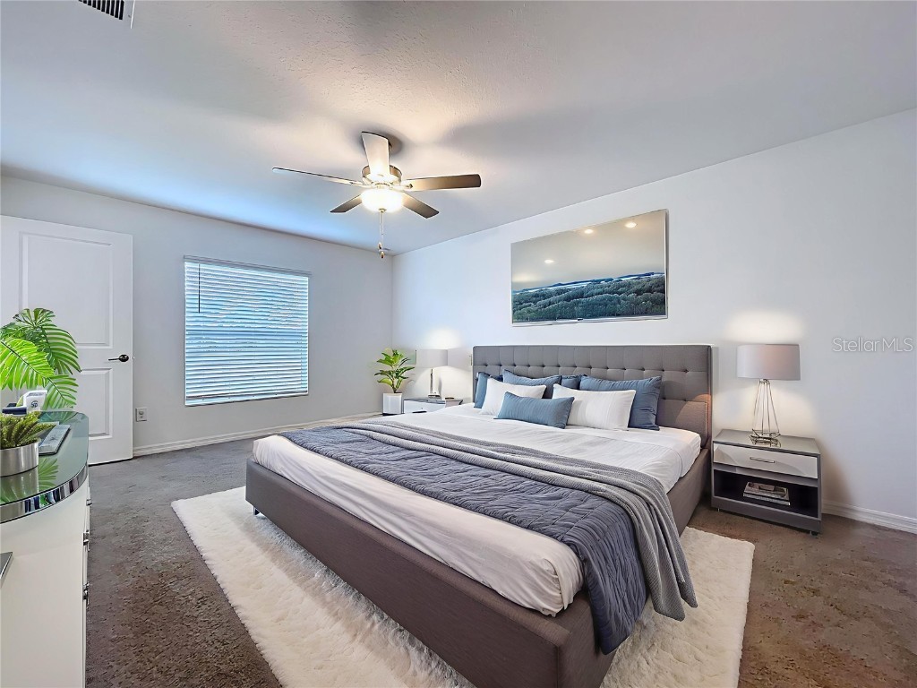 6557 Bar S Bar Trail Zephyrhills FL 33541 TB8454004 image34