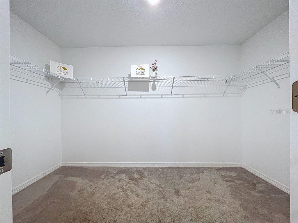 6557 Bar S Bar Trail Zephyrhills FL 33541 TB8454004 image40