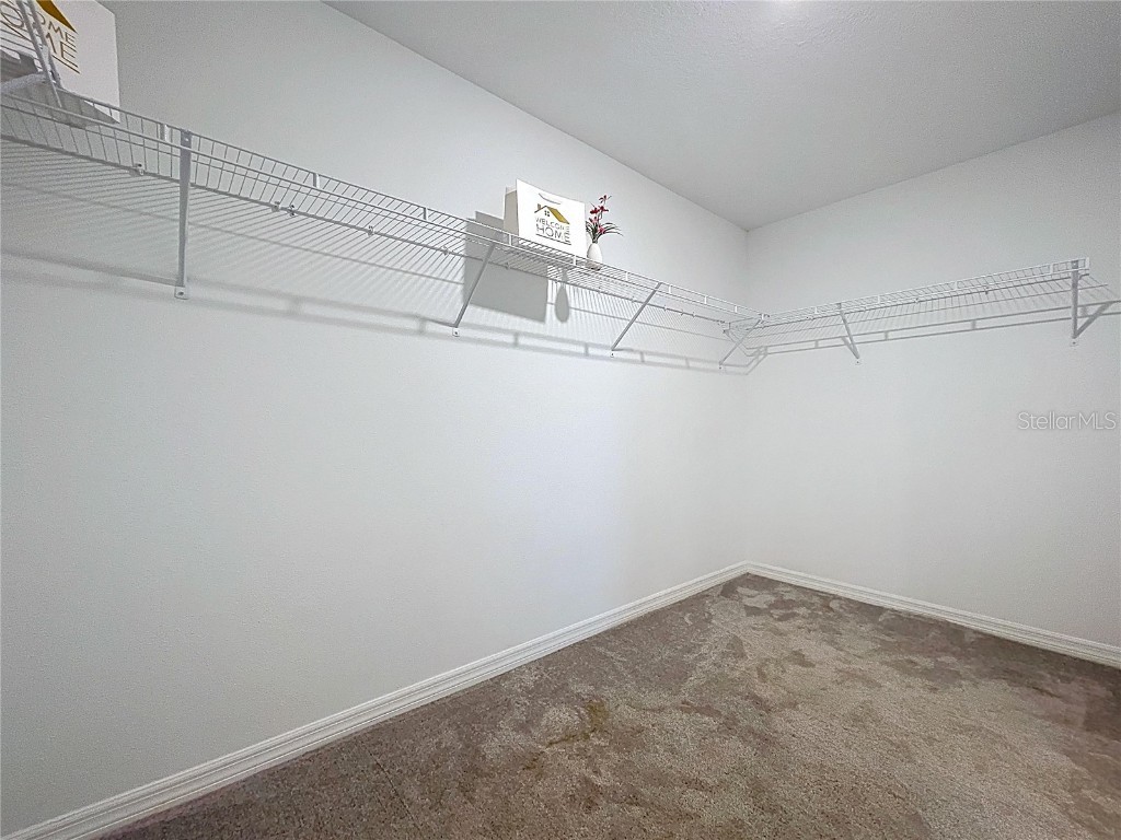 6557 Bar S Bar Trail Zephyrhills FL 33541 TB8454004 image41