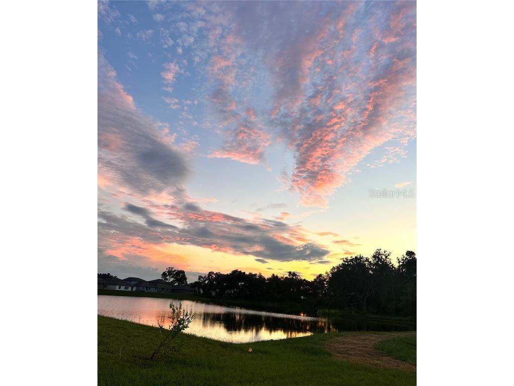 6557 Bar S Bar Trail Zephyrhills FL 33541 TB8454004 image56