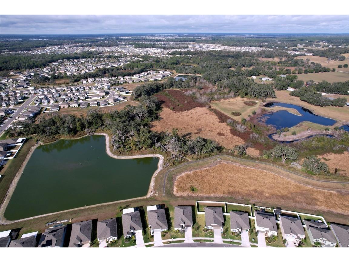 6557 Bar S Bar Trail Zephyrhills FL 33541 TB8454004 image63