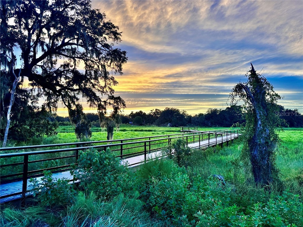 6557 Bar S Bar Trail Zephyrhills FL 33541 TB8454004 image72