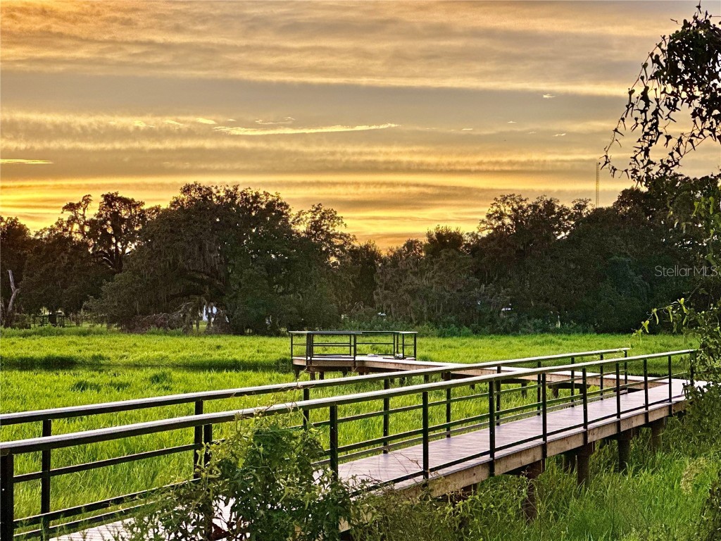 6557 Bar S Bar Trail Zephyrhills FL 33541 TB8454004 image73