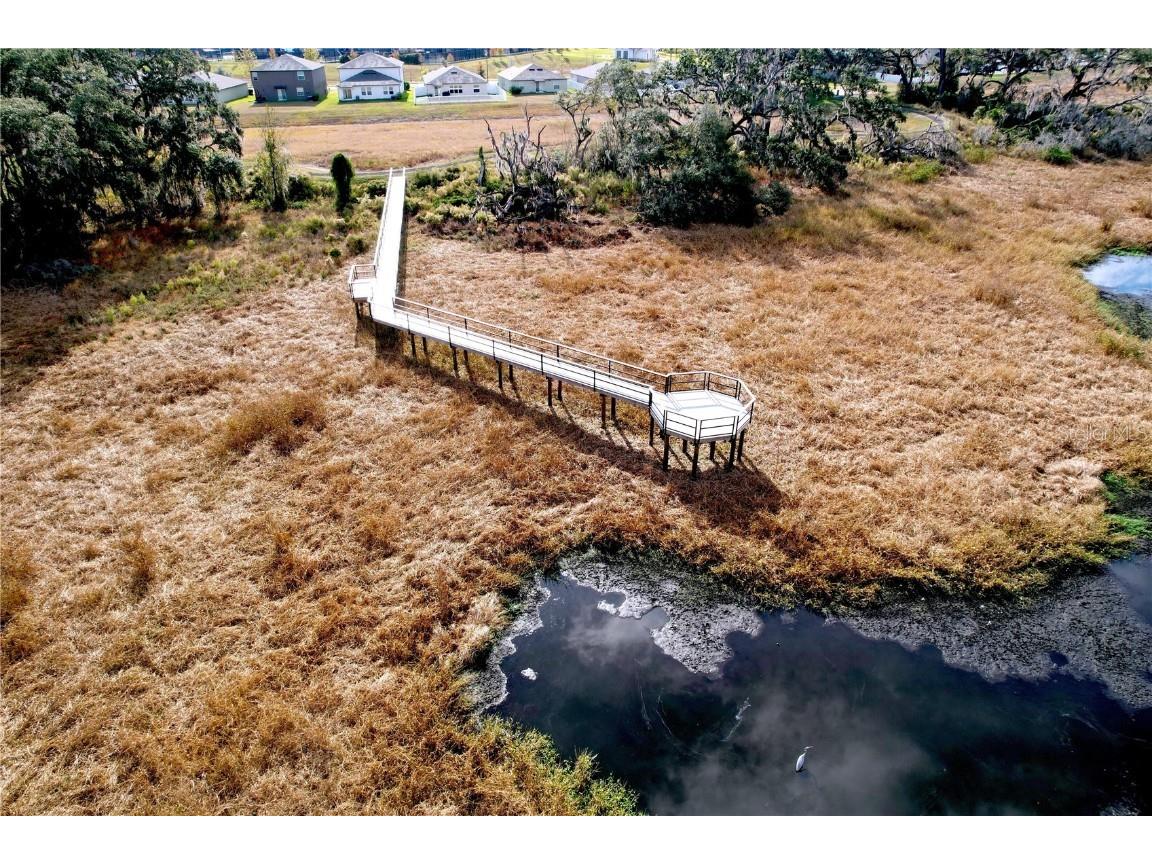 6557 Bar S Bar Trail Zephyrhills FL 33541 TB8454004 image75