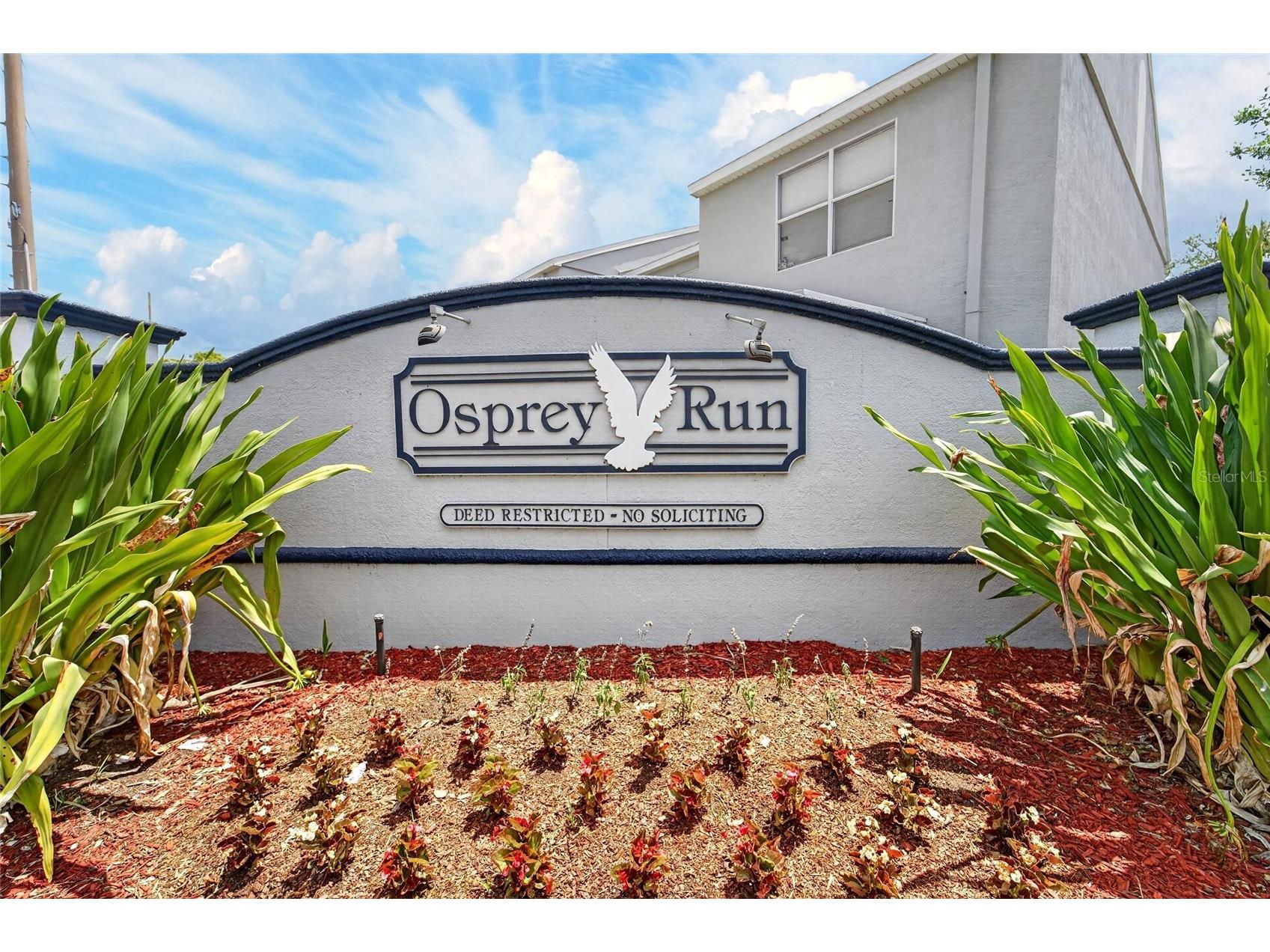 6557 Osprey Lake Circle Riverview FL 33578 TB8499574 image1