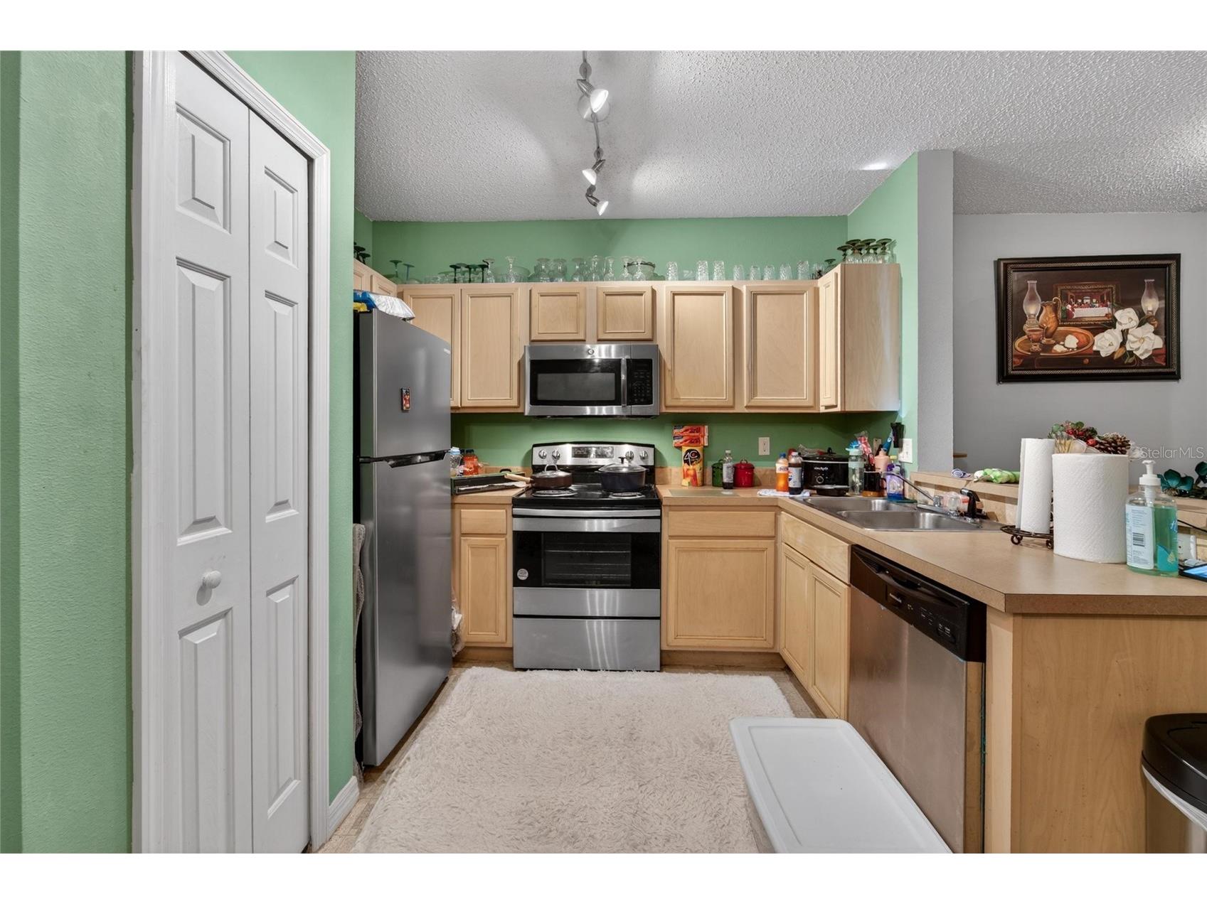 6557 Osprey Lake Circle Riverview FL 33578 TB8499574 image15