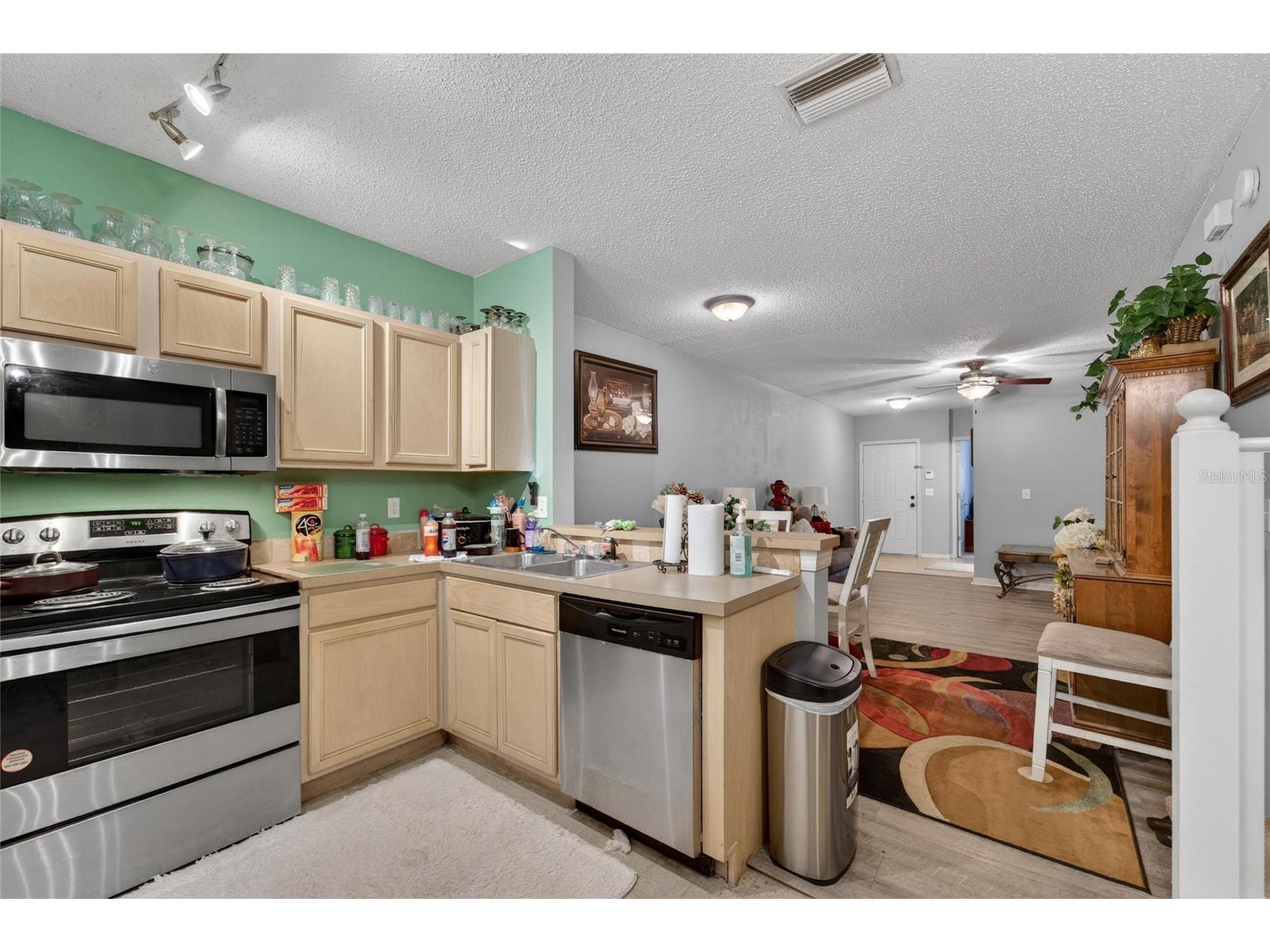 6557 Osprey Lake Circle Riverview FL 33578 TB8499574 image16