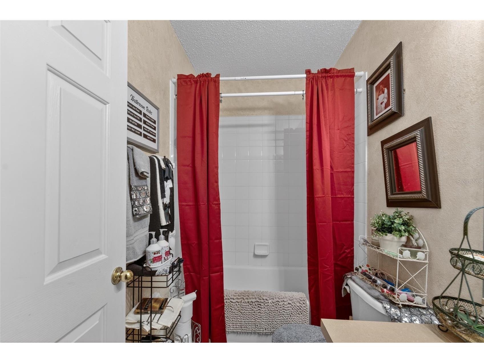 6557 Osprey Lake Circle Riverview FL 33578 TB8499574 image26