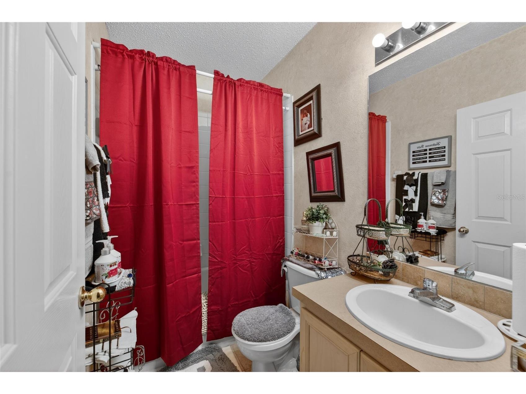 6557 Osprey Lake Circle Riverview FL 33578 TB8499574 image27