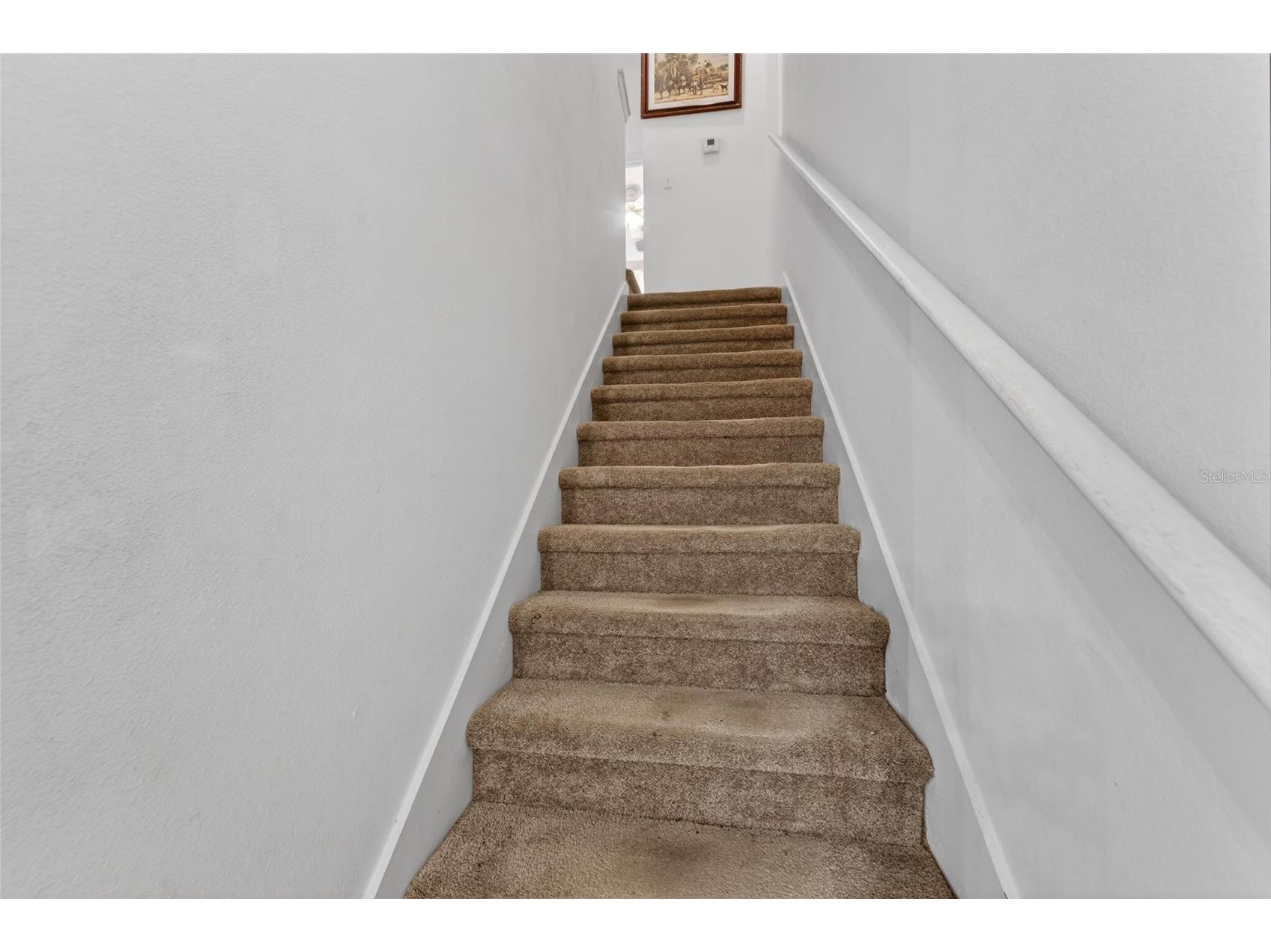 6557 Osprey Lake Circle Riverview FL 33578 TB8499574 image28
