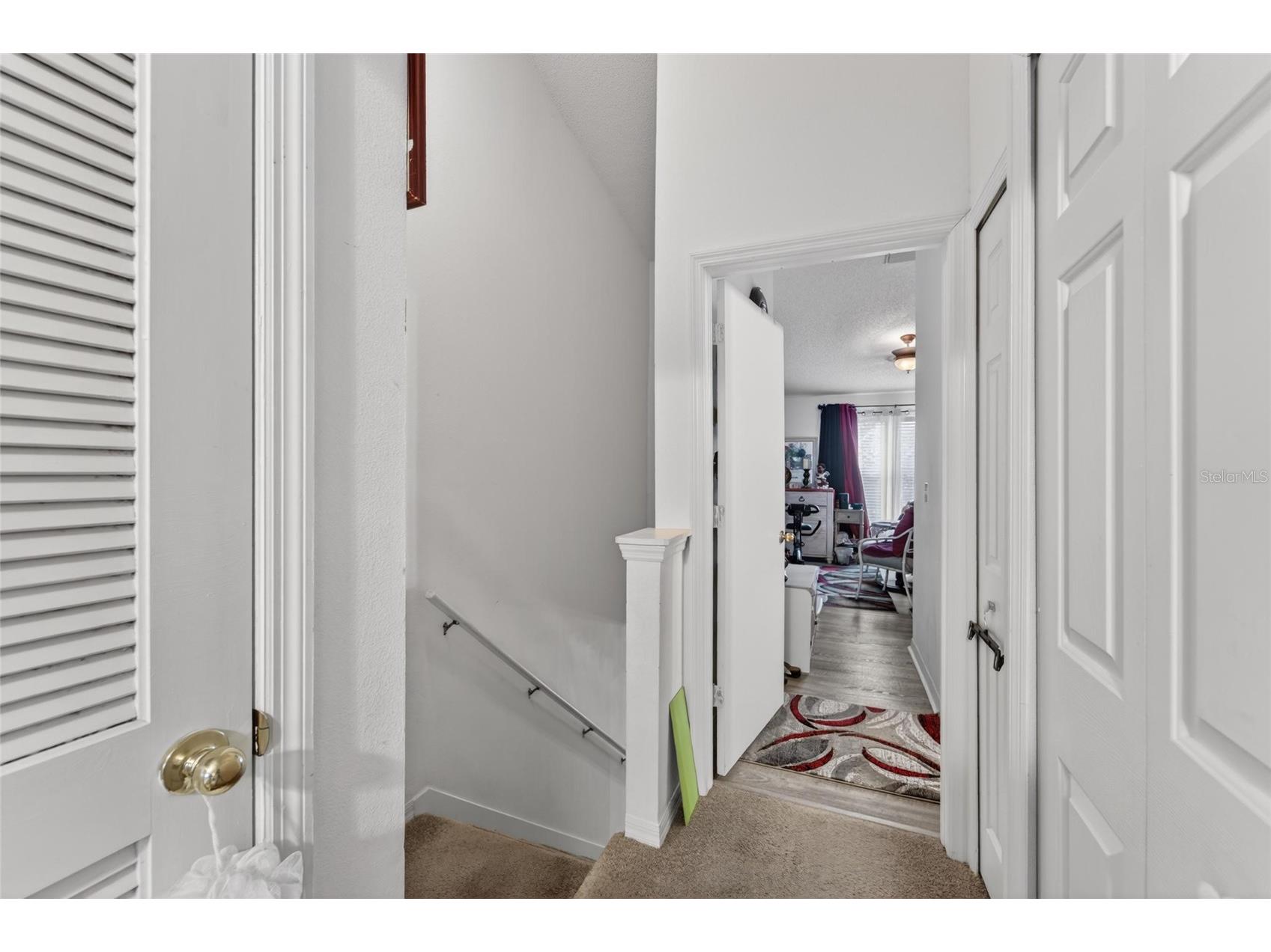 6557 Osprey Lake Circle Riverview FL 33578 TB8499574 image29