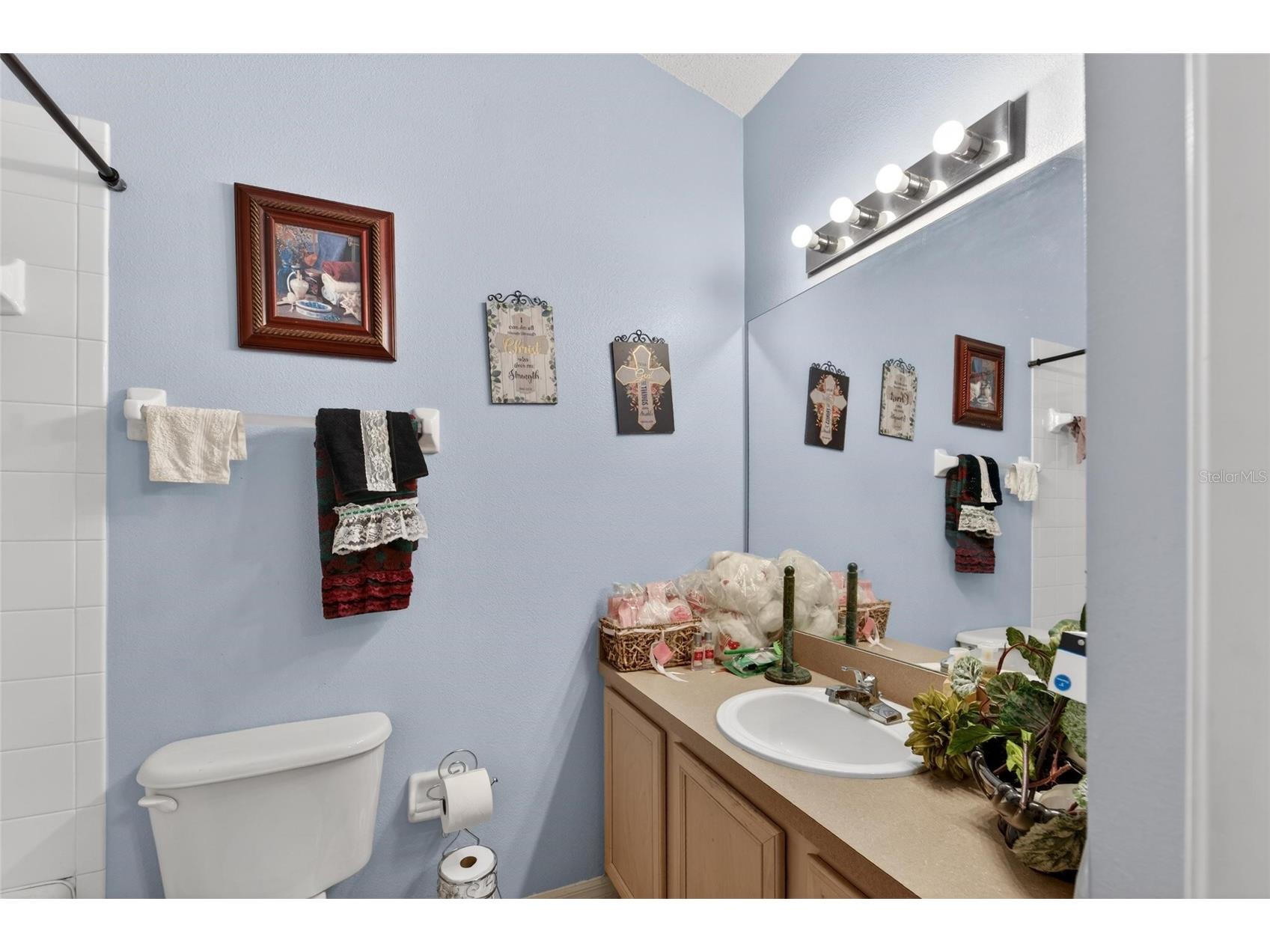 6557 Osprey Lake Circle Riverview FL 33578 TB8499574 image34
