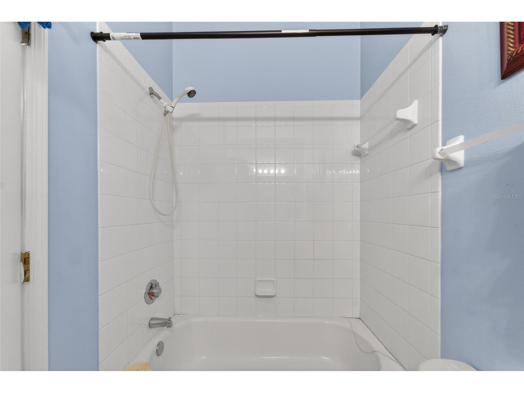 6557 Osprey Lake Circle Riverview FL 33578 TB8499574 image35