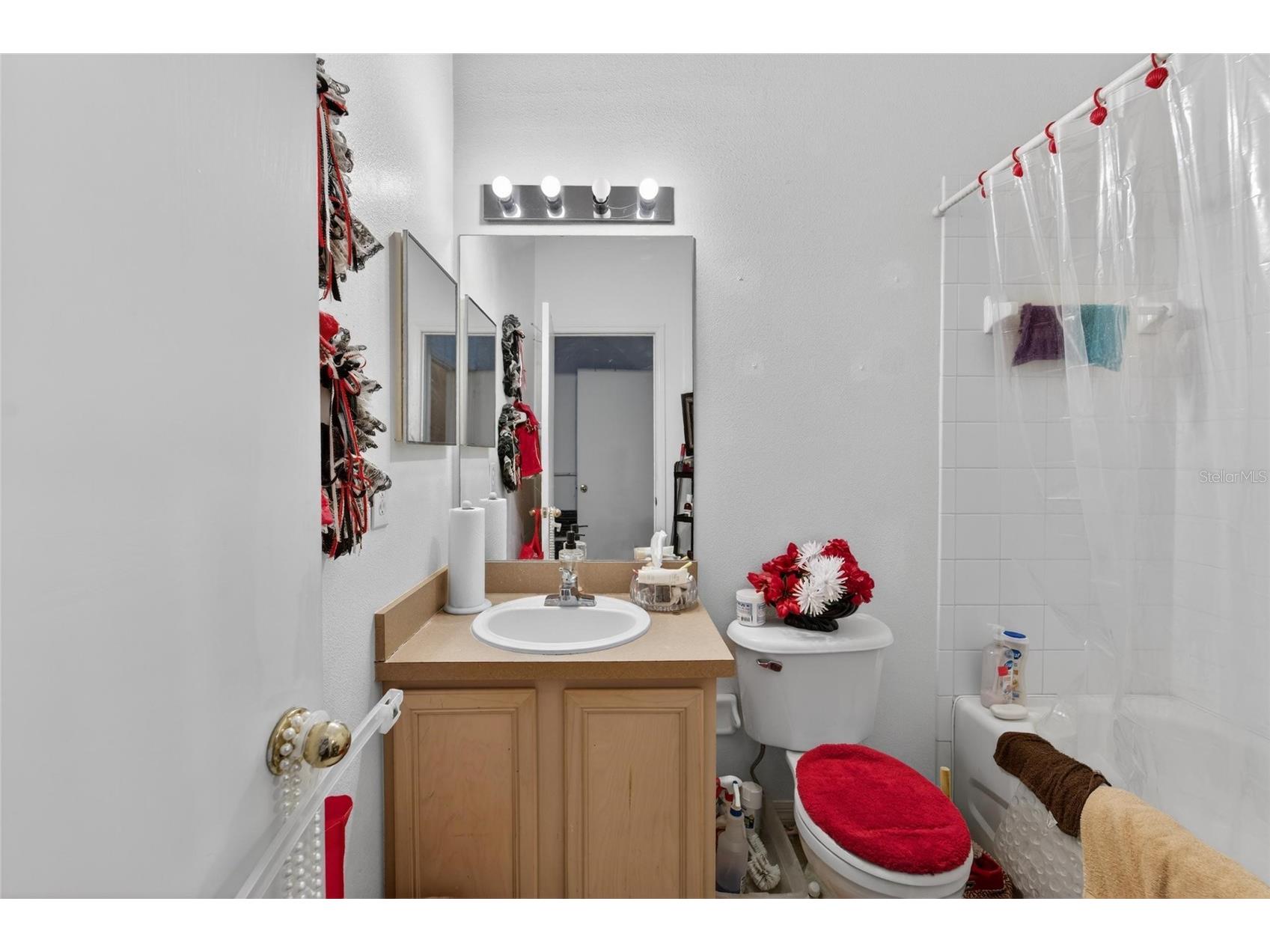 6557 Osprey Lake Circle Riverview FL 33578 TB8499574 image38