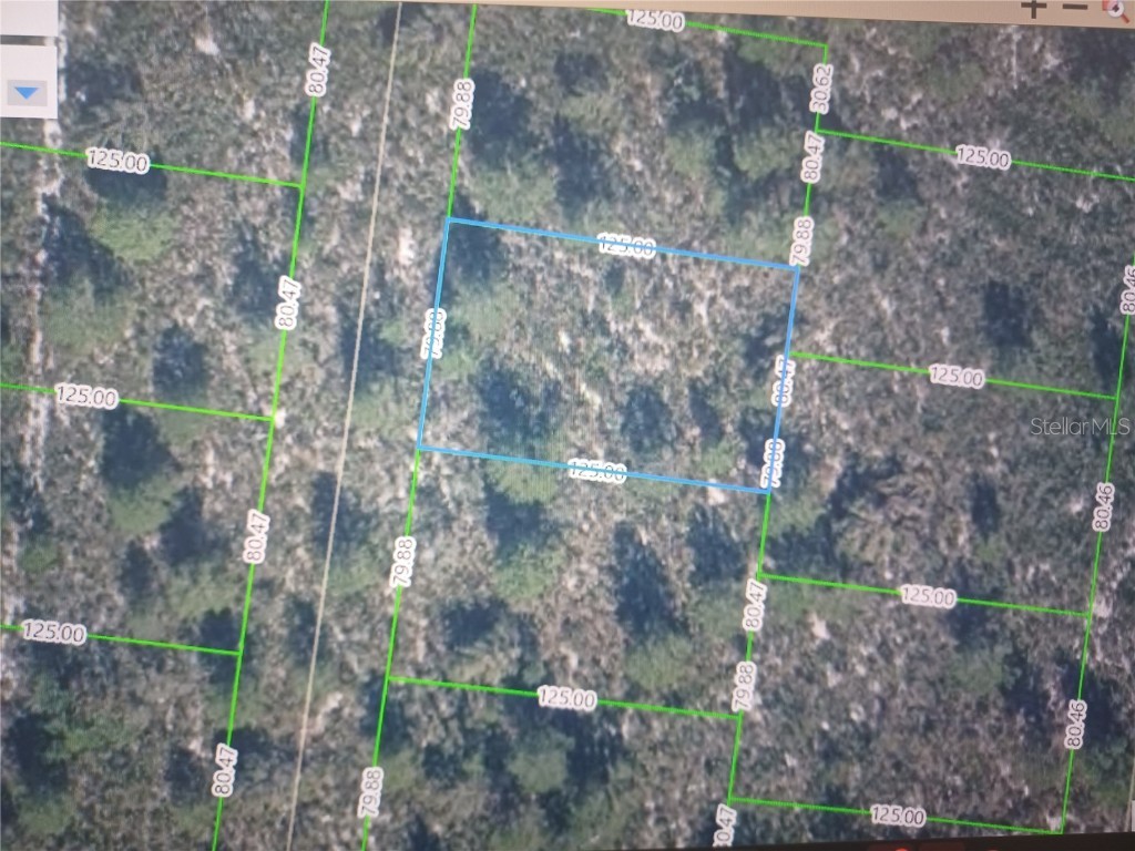 6558 Felicia Drive Sebring FL 33872 O6134871 image1