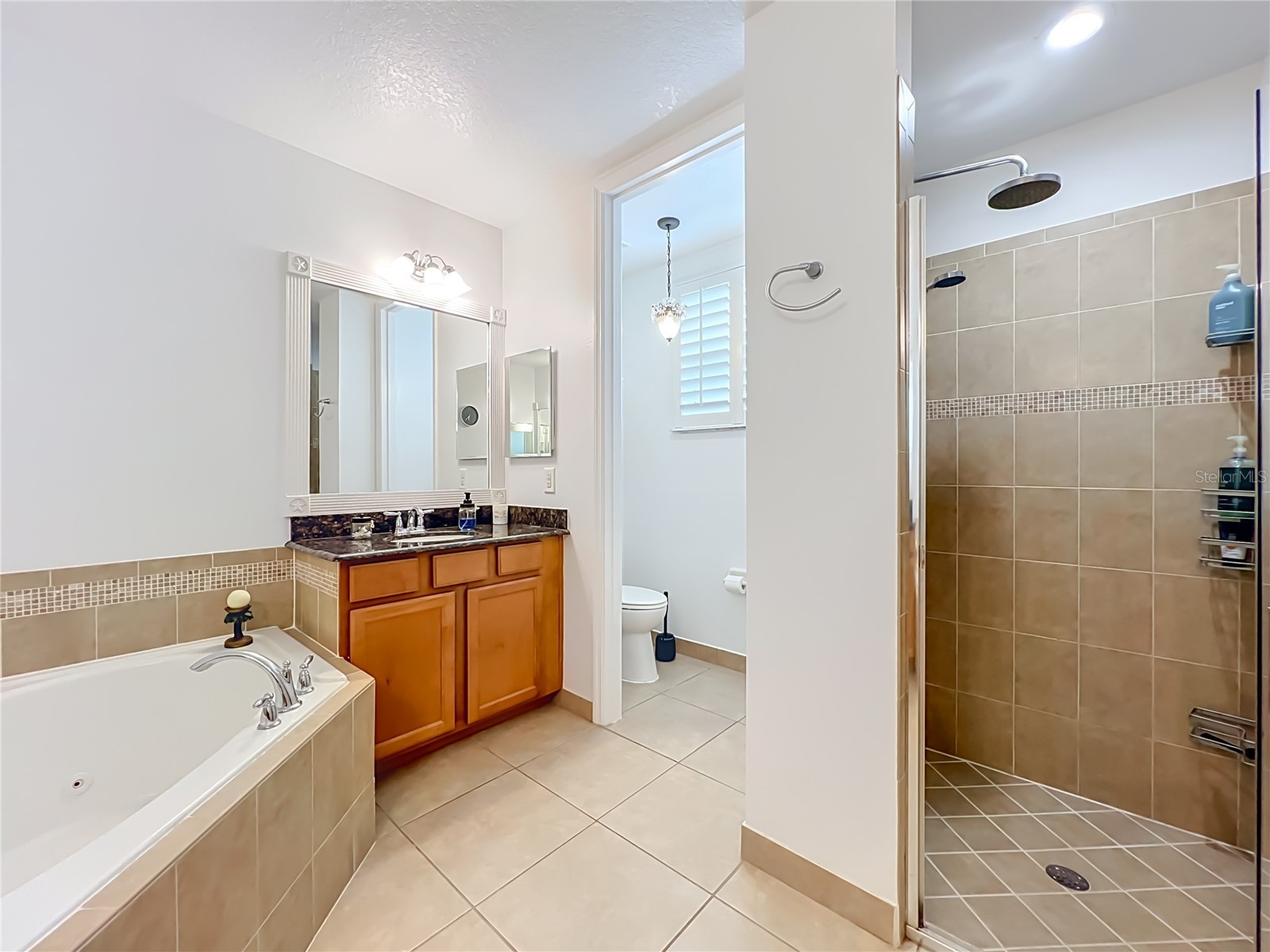 6558 Helmsley Circle Windermere FL 34786 S5151342 image29