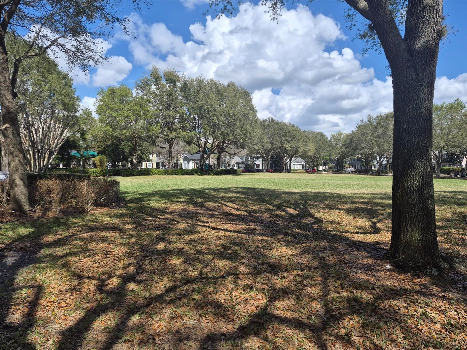 6558 Helmsley Circle Windermere FL 34786 S5151342 image54