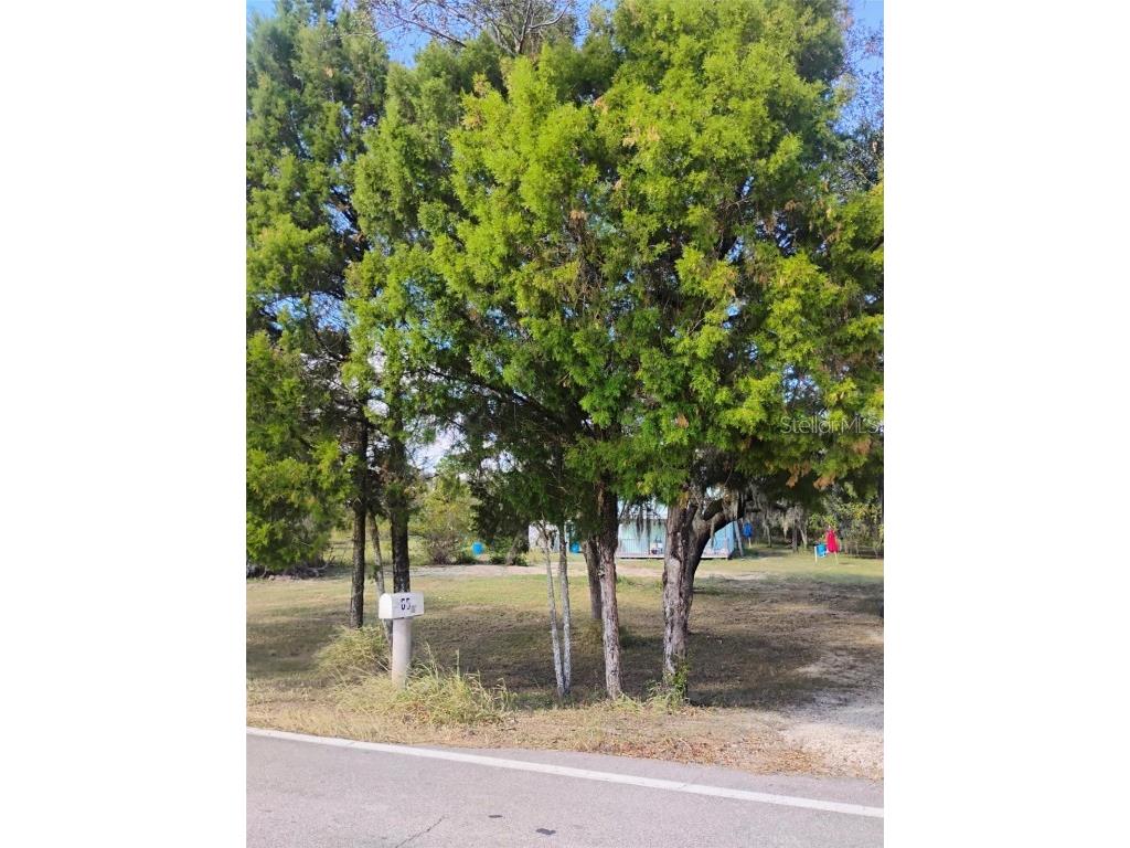 656 Bradbury Road Haines City FL 33844 P4932701 image1