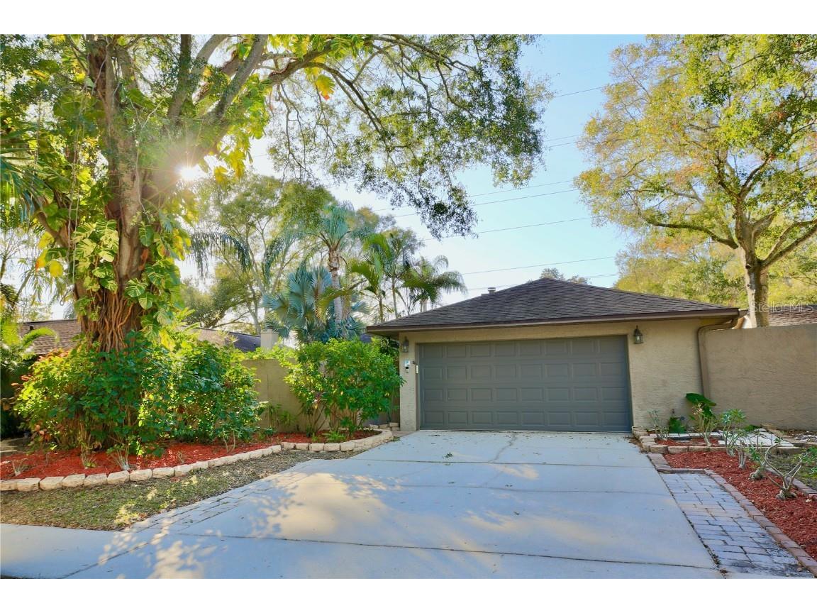 656 Channing Drive Palm Harbor FL 34684 T3467677 image1