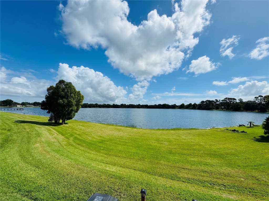 656 Meandering Way Polk City FL 33868 O6349147 image27