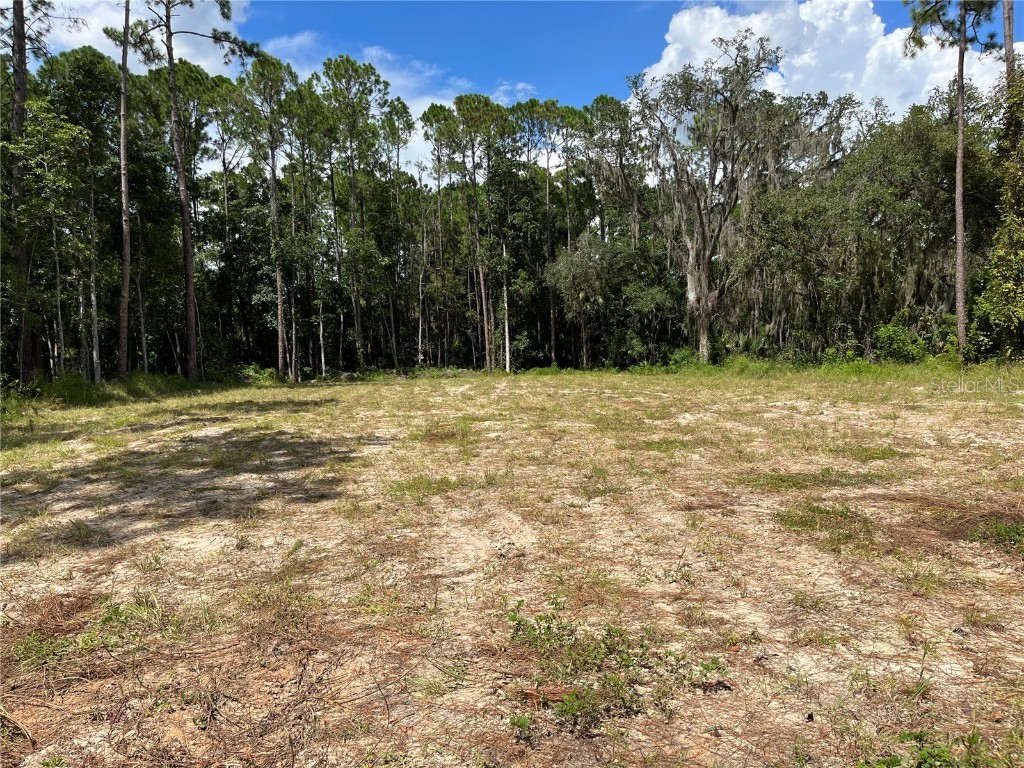 656 Miller Farms Court Sanford FL 32771 O6056678 image1