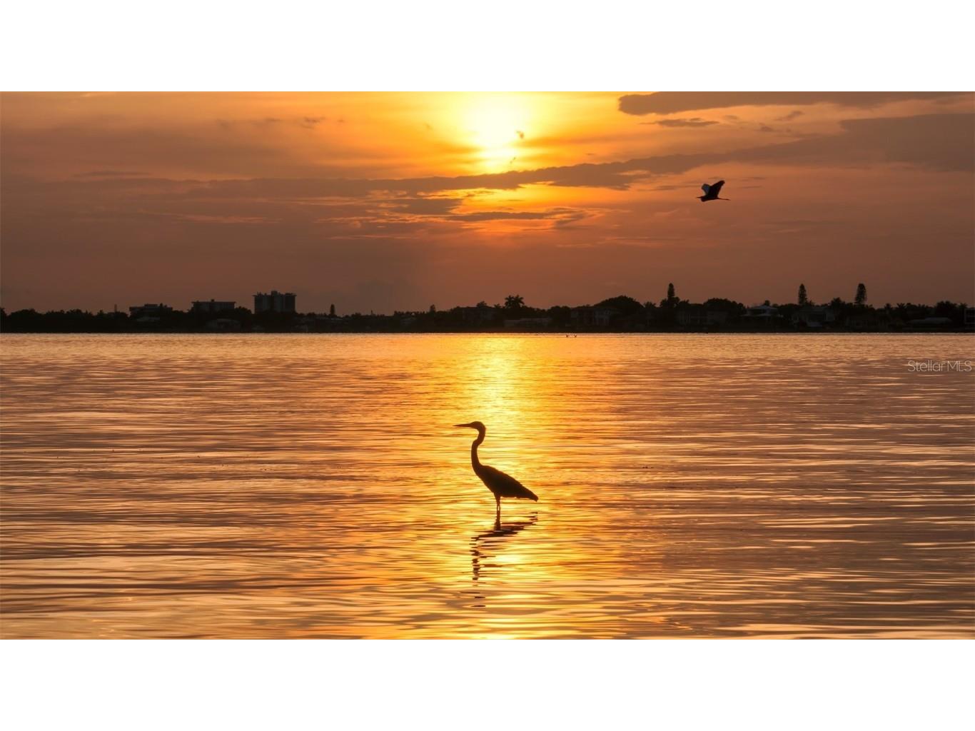 656 S Owl Drive Sarasota FL 34236 A4671970 image59