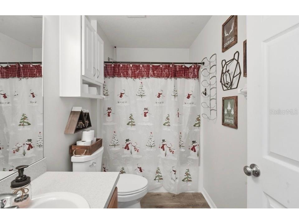 656 Swan Range Road Orange City FL 32763 V4948181 image27