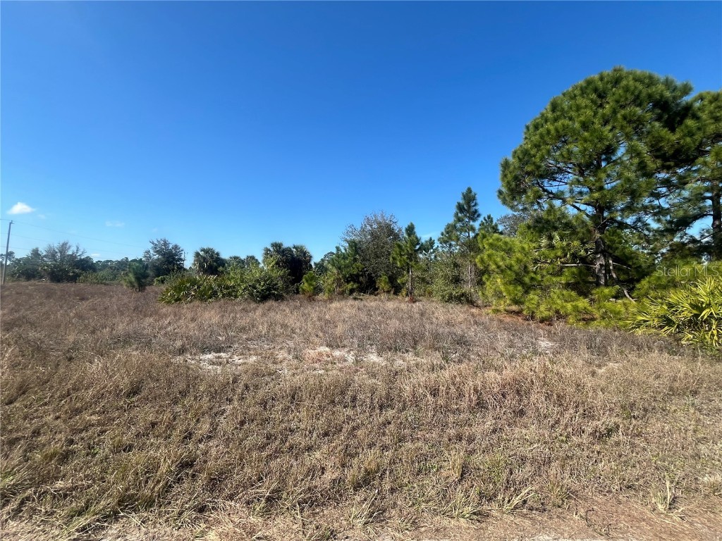 656 Valley Avenue Lehigh Acres FL 33974 OK224815 image1